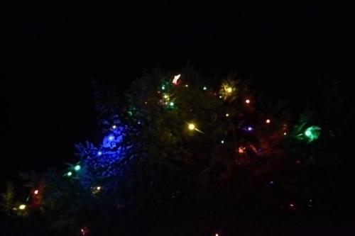 12/2019 - Česko zpívá koledy